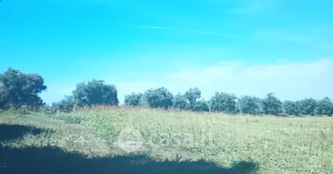Terreno agricolo in commerciale in Via Antonio da Montolmo