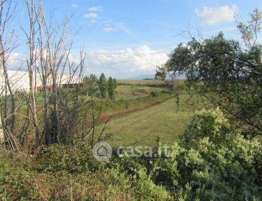 Terreno agricolo in commerciale in Via Casal Bianco