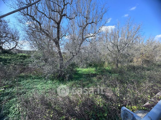 Terreno agricolo in commerciale in s.s. 16