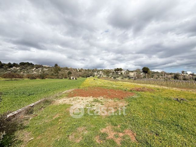 Terreno agricolo in commerciale in Contrada Chiatante