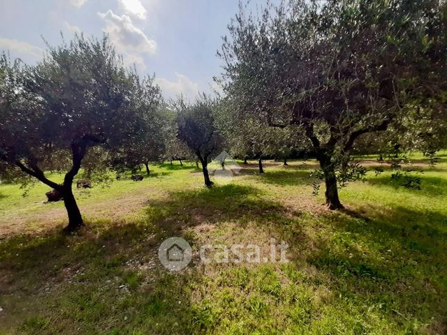 Terreno agricolo in commerciale in Via Monte Madonna