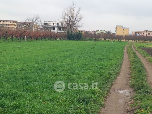 Terreno agricolo in commerciale in Strada Orientale Spiniello