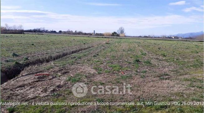 Terreno agricolo in commerciale in Via Vinacciano