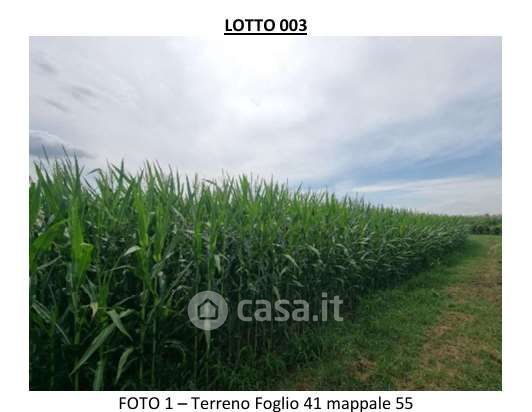 Terreno agricolo in commerciale in Strada Porazza
