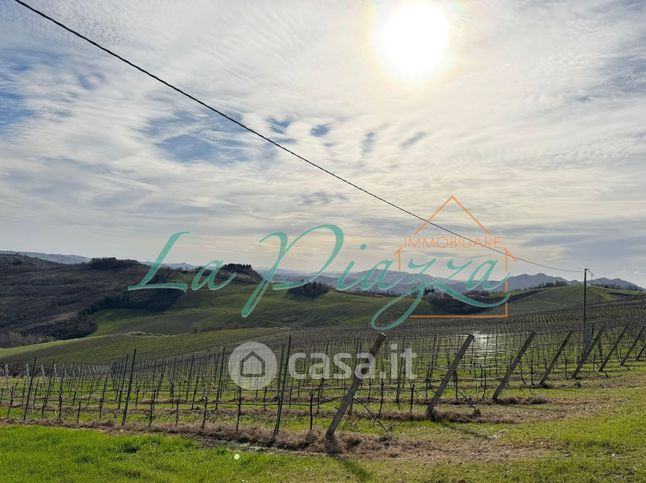 Terreno agricolo in commerciale in Toranello 22