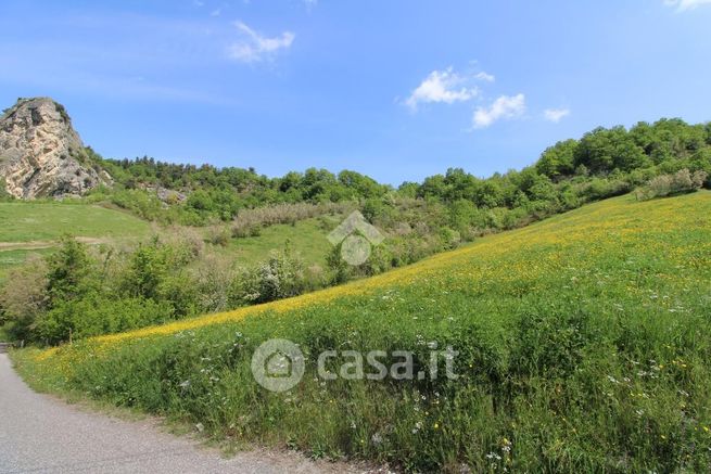 Terreno agricolo in commerciale in 