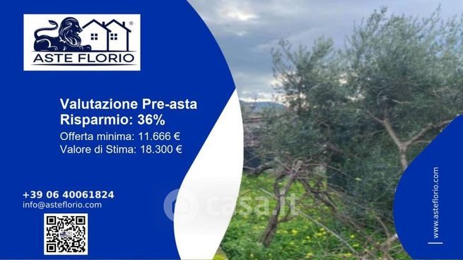 Terreno agricolo in commerciale in Via della Foresta