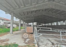 Capannone in commerciale in Via Tetto del Ratto 10