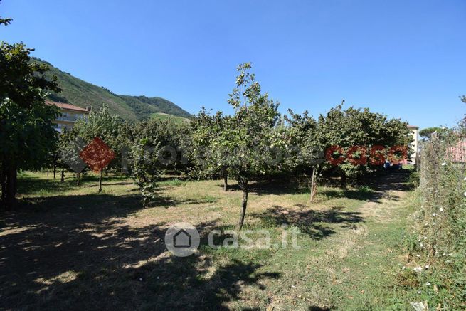 Terreno agricolo in commerciale in Via Piro 100