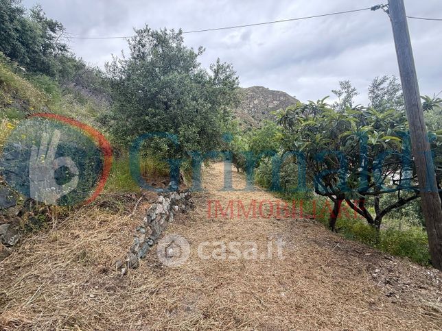 Terreno agricolo in commerciale in Strada Provinciale 34 9