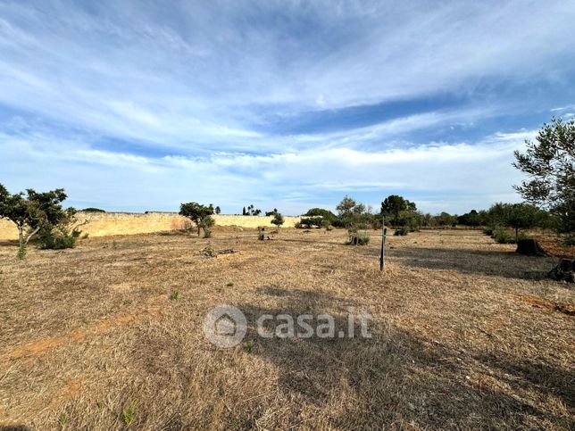 Terreno agricolo in commerciale in scalelle