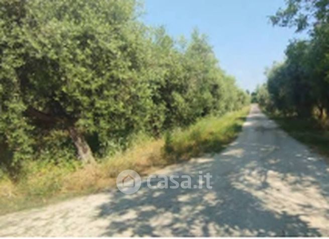 Terreno agricolo in commerciale in Via Filetto 49