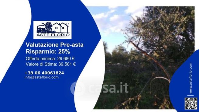 Terreno agricolo in commerciale in Contrada Balice