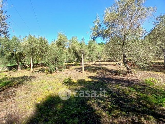 Terreno agricolo in commerciale in Località Campanaro