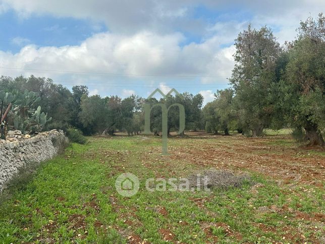 Terreno agricolo in commerciale in Contrada Arrighi