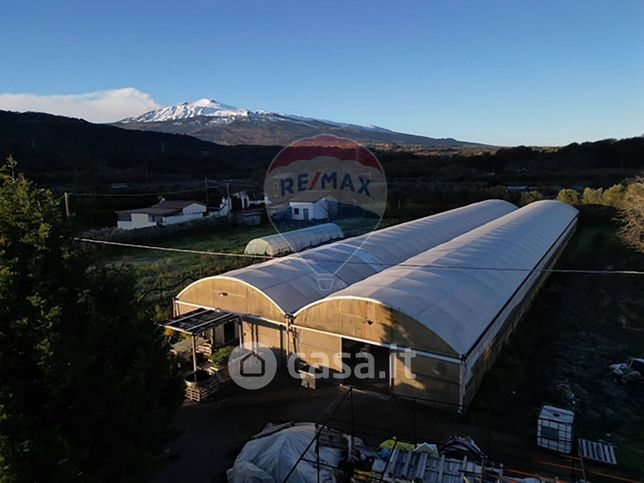 Terreno agricolo in commerciale in Strada Provinciale 7i