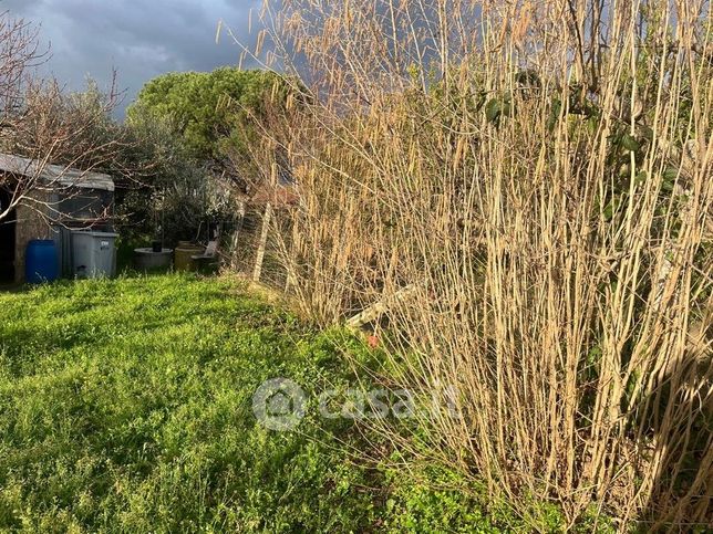 Terreno agricolo in commerciale in Via di Colonna