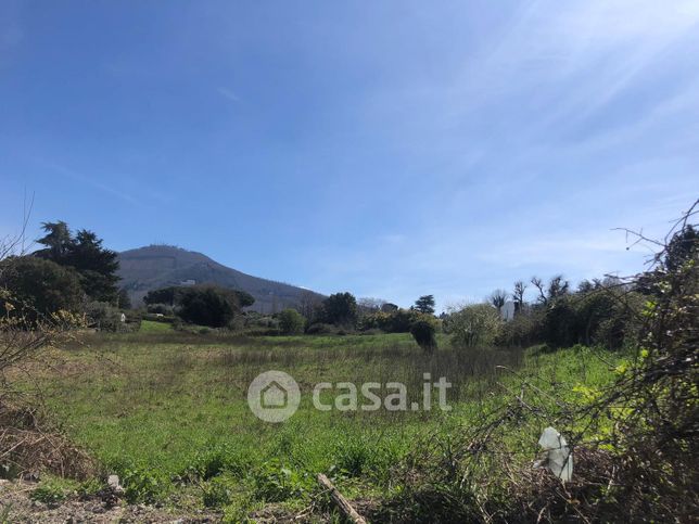 Terreno agricolo in commerciale in Via Costa Caselle