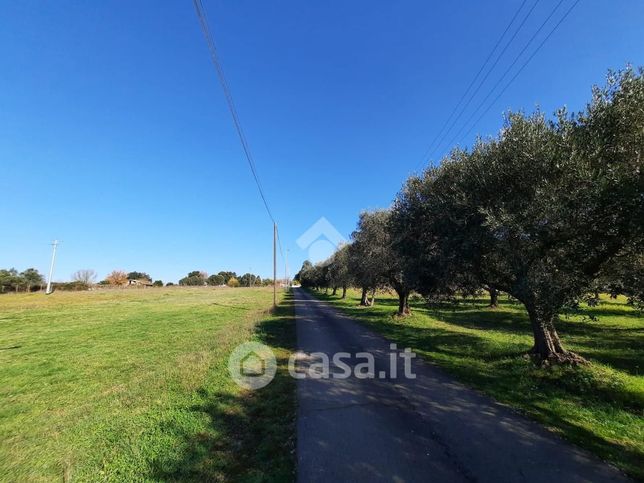 Terreno agricolo in commerciale in Via del Castellaccio
