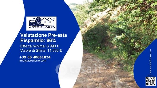 Terreno agricolo in commerciale in Contrada Fruscetto