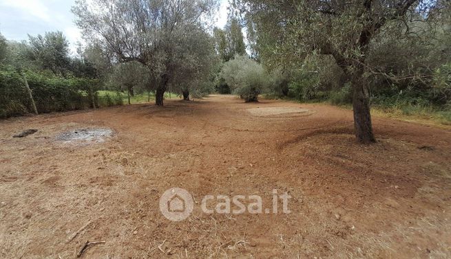 Terreno edificabile in residenziale in Strada Provinciale 1bis