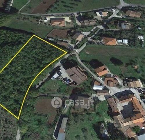 Terreno agricolo in commerciale in Strada Comunale Capruccia