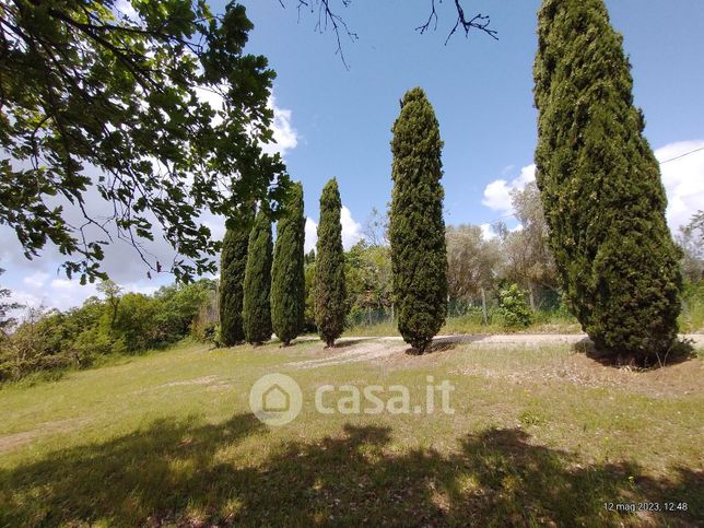 Terreno agricolo in commerciale in Località Dogane