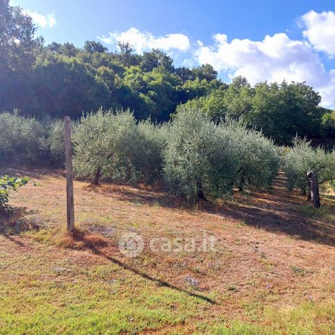 Terreno agricolo in commerciale in 