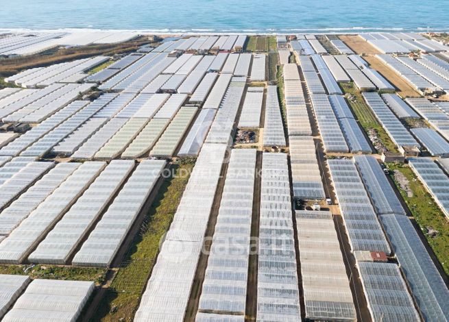 Terreno agricolo in commerciale in Strada Senza Nome