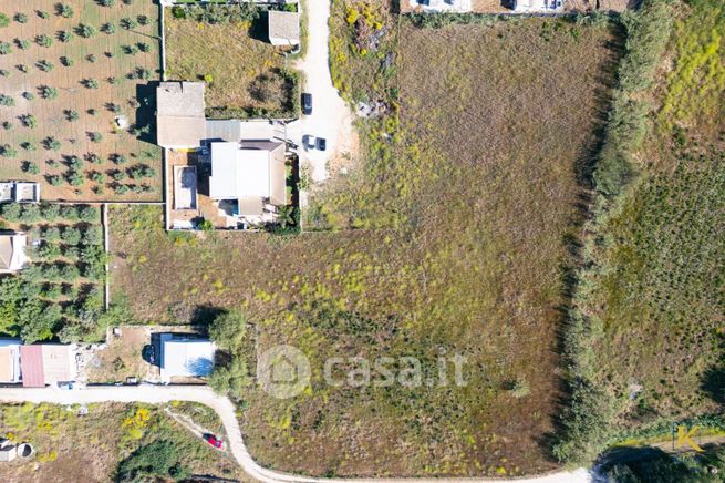 Terreno agricolo in commerciale in SP2