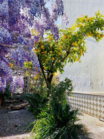 Appartamento in residenziale in Via Serroni Alto