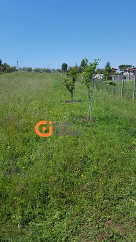 Terreno agricolo in commerciale in Via della Mentuccia