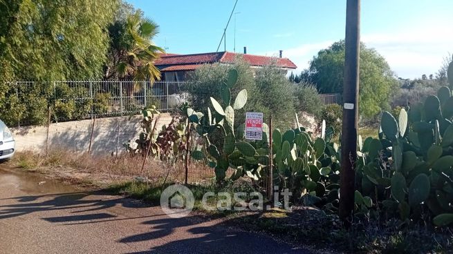 Terreno agricolo in commerciale in Strada vicinale