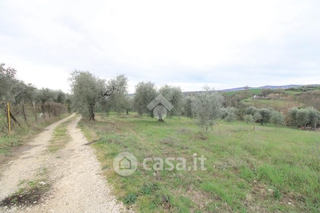 Terreno agricolo in commerciale in Via Ternana