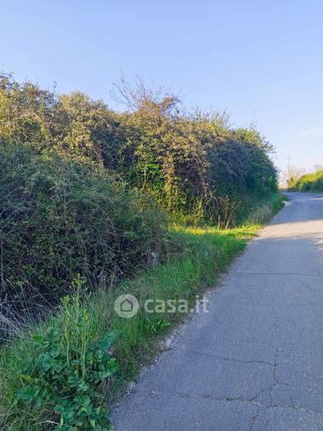 Terreno agricolo in commerciale in Strada dell'Osteria di Moricone 14