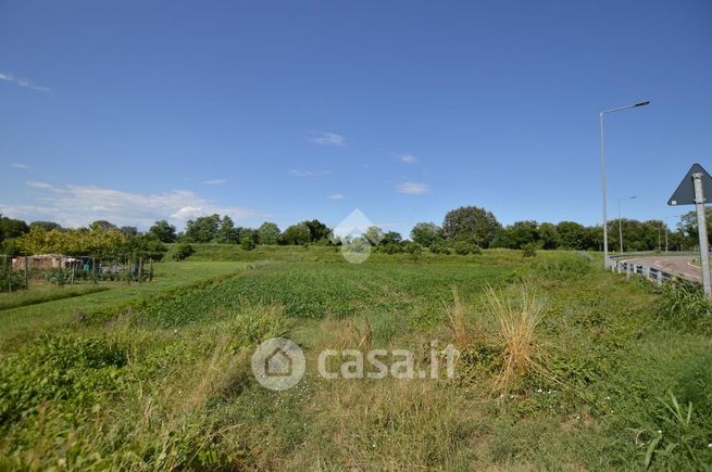 Terreno agricolo in commerciale in Via Armellina