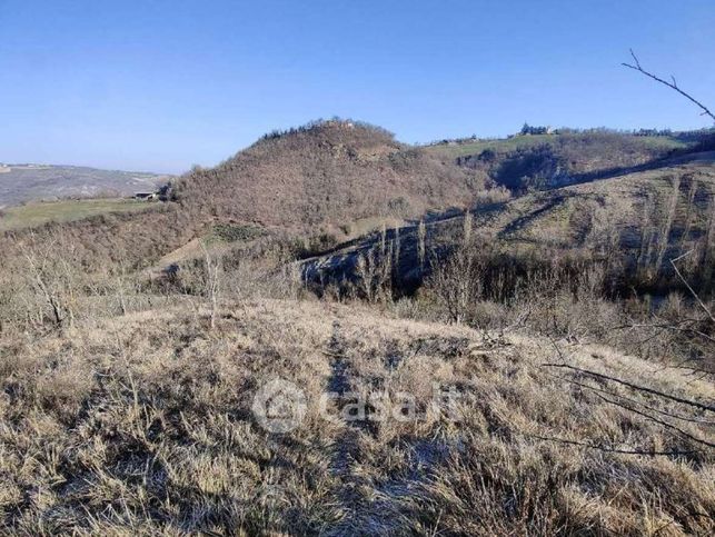 Terreno agricolo in commerciale in Via Monzone