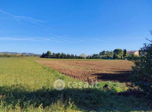 Terreno agricolo in commerciale in Via Rio Cupo