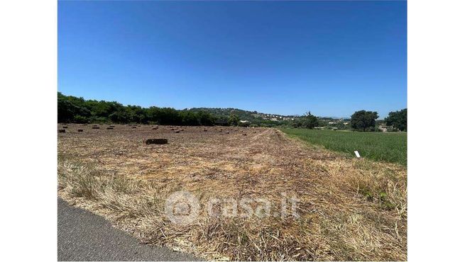 Terreno agricolo in commerciale in Contrada Piano Morra
