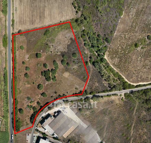 Terreno edificabile in residenziale in LocalitÃ  Bivio Cortoghiana 3