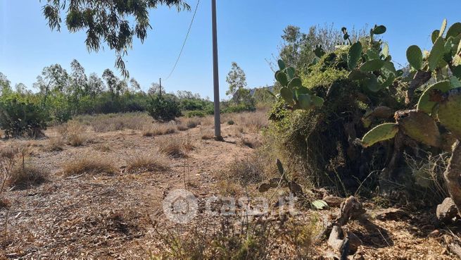 Terreno agricolo in commerciale in Strada Statale 125 Orientale Sarda