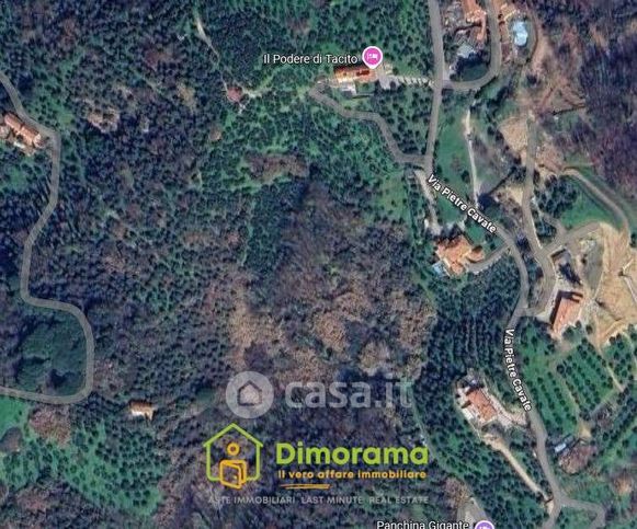 Terreno agricolo in commerciale in LocalitÃ  la Piana