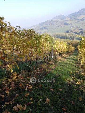 Terreno agricolo in commerciale in Via Polenta Nuova