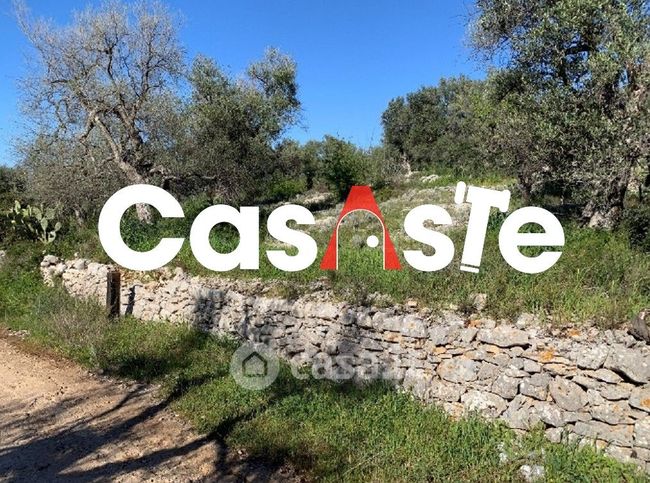 Terreno agricolo in commerciale in Via Sant'Andrea 547