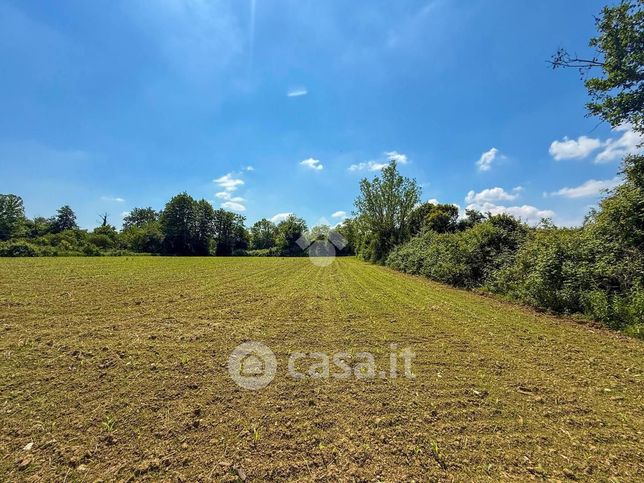 Terreno agricolo in commerciale in Via Posteghe