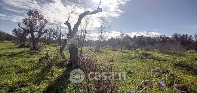 Terreno agricolo in commerciale in Via vicinale vicinanze 14