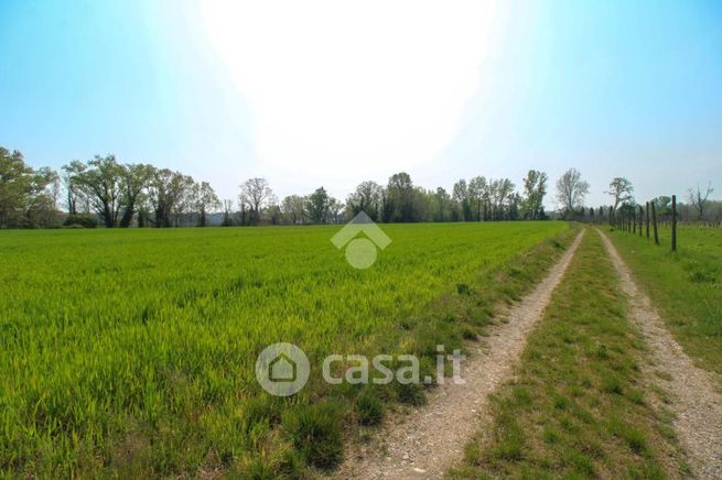 Terreno agricolo in commerciale in Via Rosario