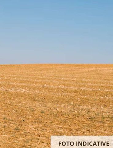 Terreno agricolo in commerciale in Via Salvo D'Acquisto