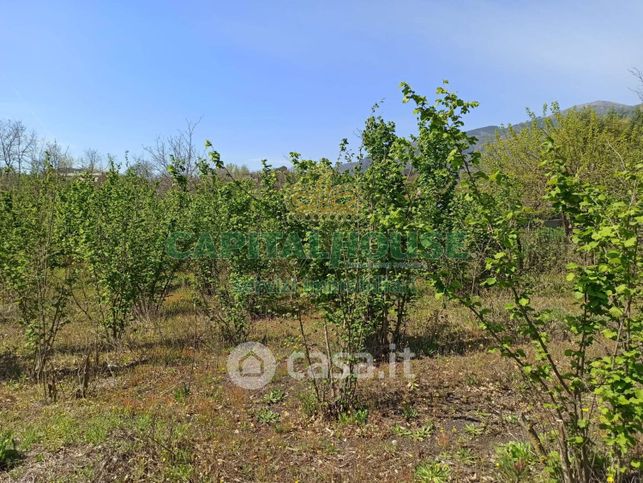 Terreno agricolo in commerciale in 