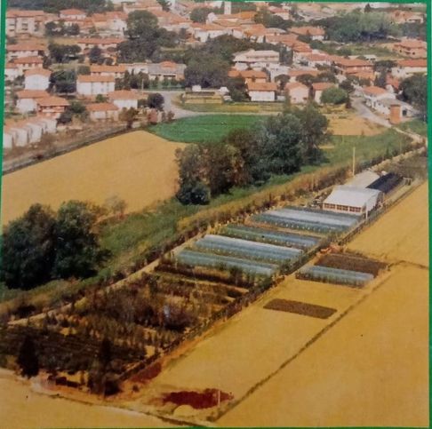 Terreno agricolo in commerciale in Via Livornese